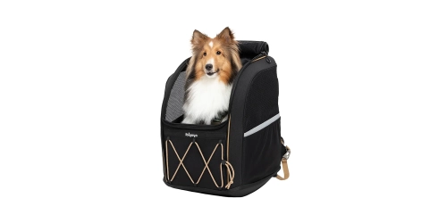 Plecak Champion Large Dog Jet Black